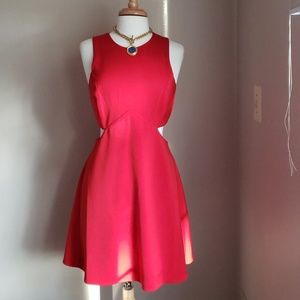 Express Red Side Cutout A-line Dress